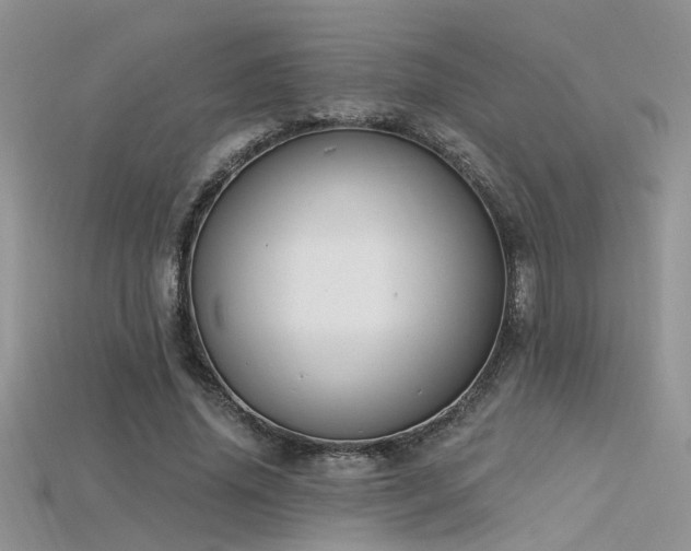 X0000115670636200911121154