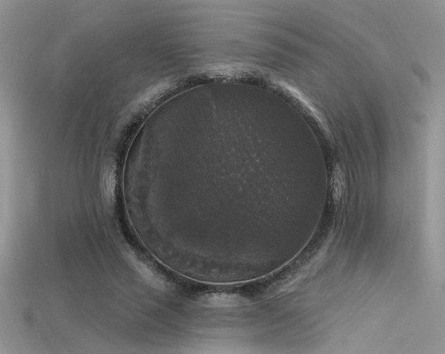 X0000115670637200911121154
