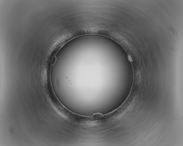 X0000115670638200911121154