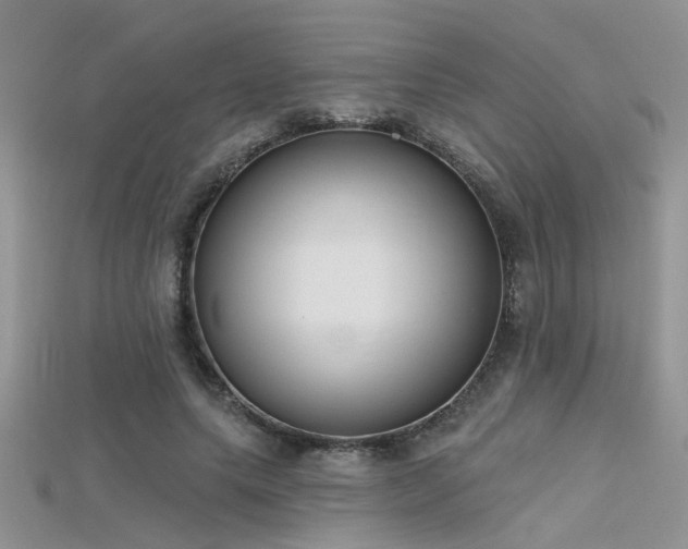 X0000115670639200911121154