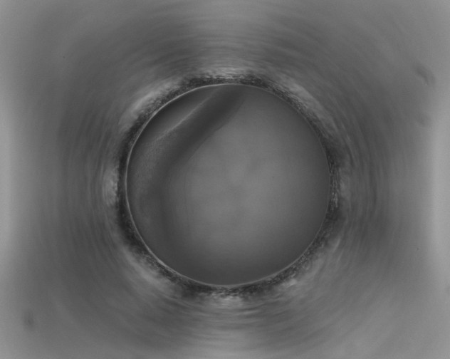 X0000115670640200911121154