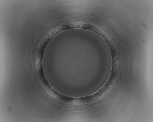 X0000115670641200911121154