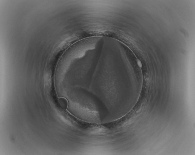 X0000115670642200911121154