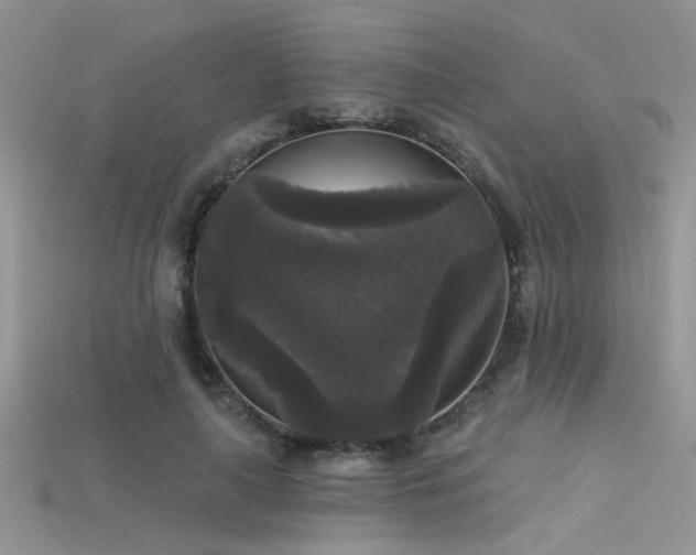 X0000115670643200911121154