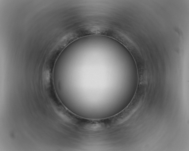 X0000115670646200911121154