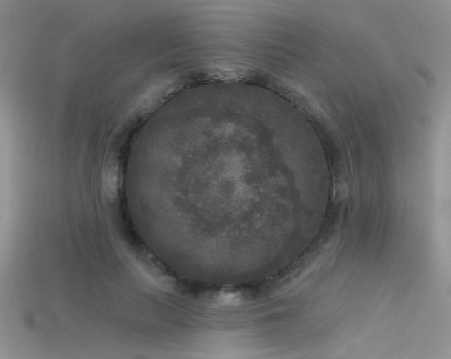 X0000115670647200911121154