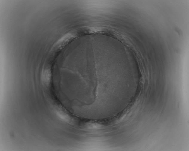 X0000115670648200911121154