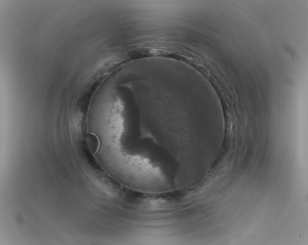X0000115670650200911121154