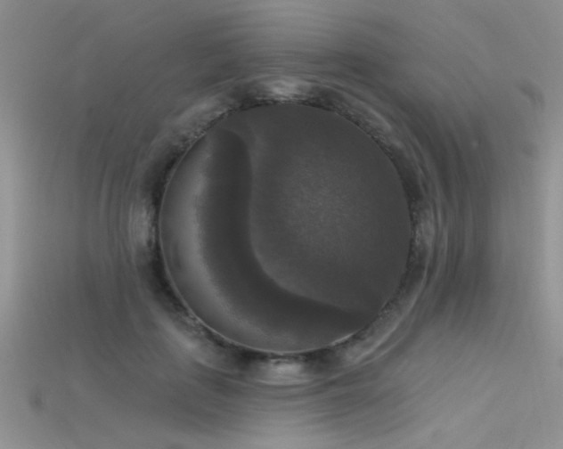 X0000115670651200911121154