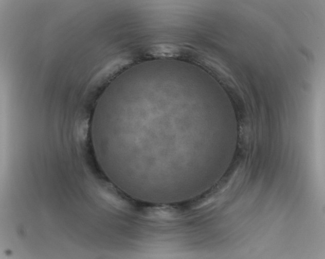 X0000115670652200911121154