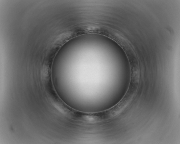X0000115670654200911121154