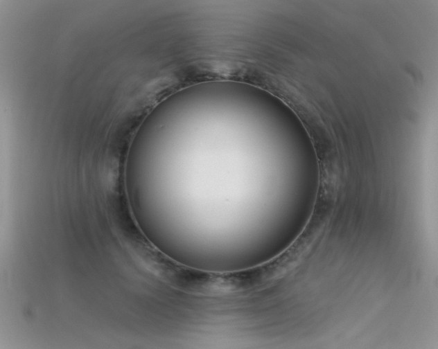 X0000115670656200911121154