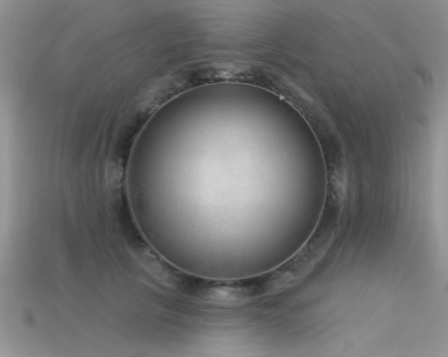 X0000115670657200911121154