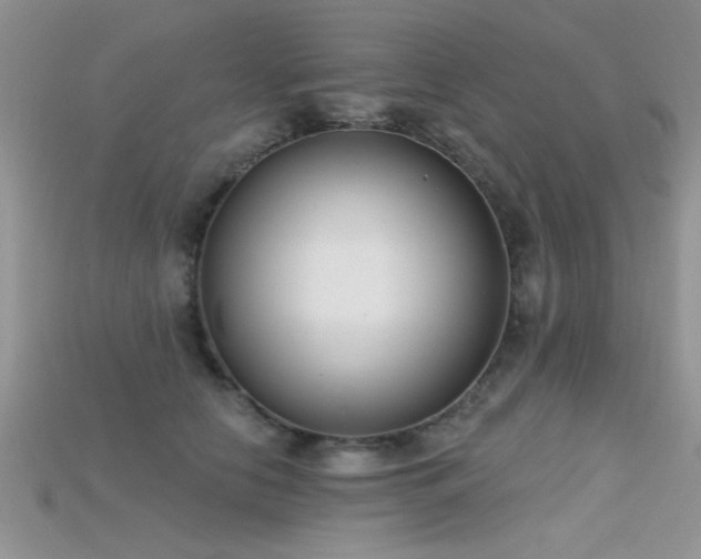 X0000115670658200911121154