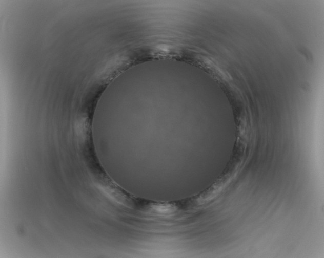 X0000115670659200911121154