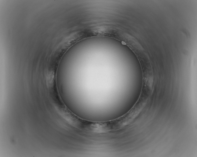 X0000115670660200911121154