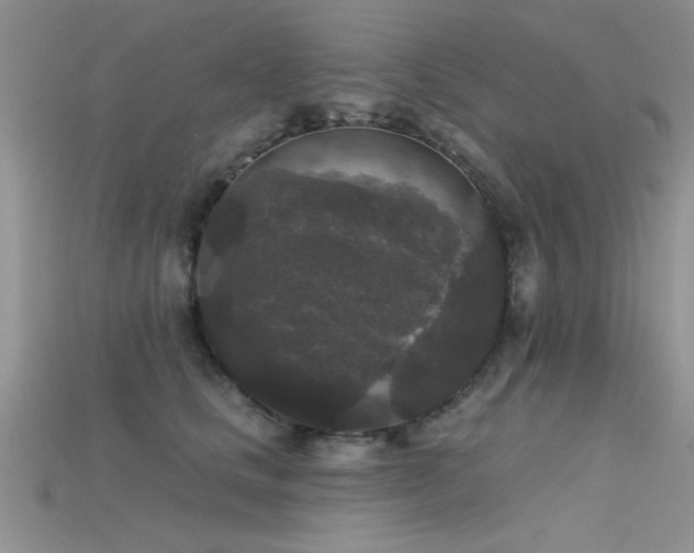 X0000115670661200911121154