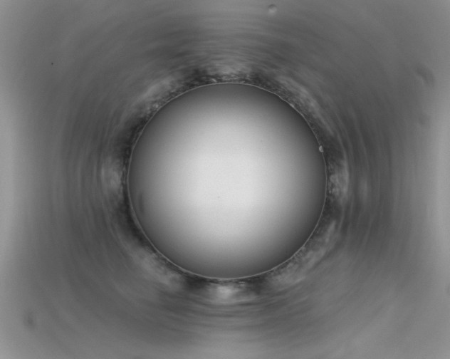 X0000115670662200911121154