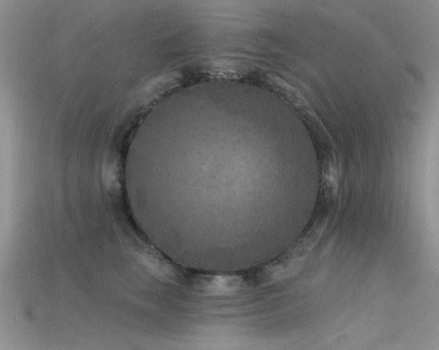X0000115670663200911121154