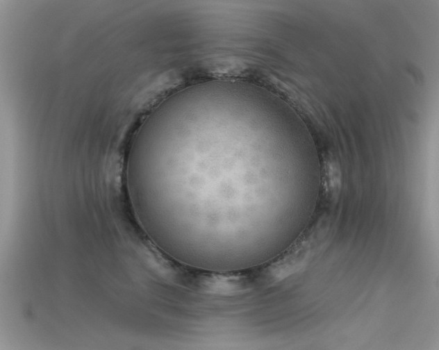 X0000115670664200911121154