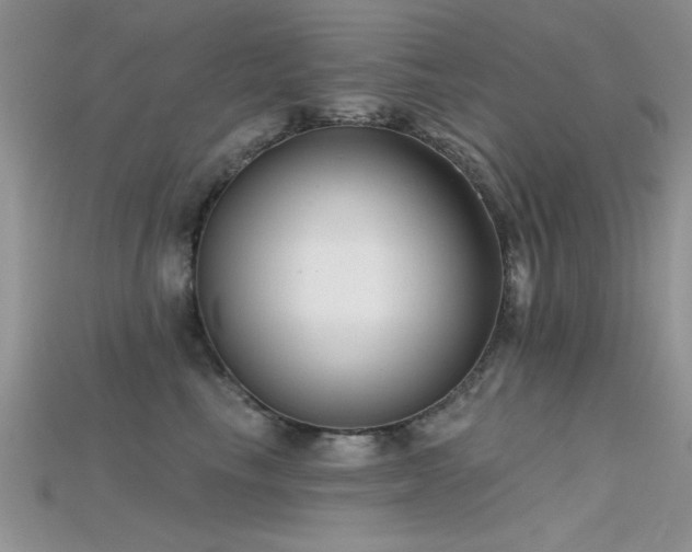 X0000115670665200911121154