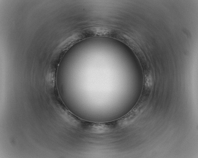 X0000115670666200911121154