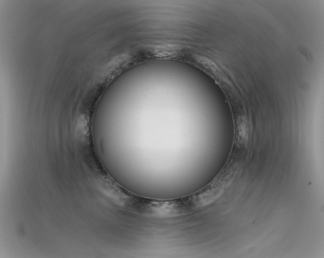 X0000115670667200911121154