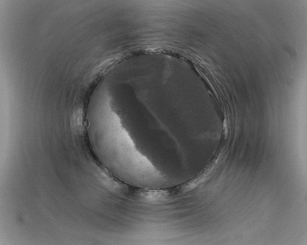 X0000115670670200911121154