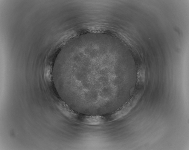 X0000115670671200911121154