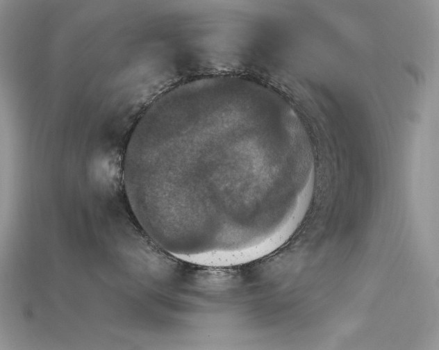 X0000115670672200911121154