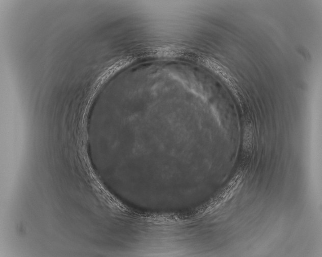 X0000115670673200911121153