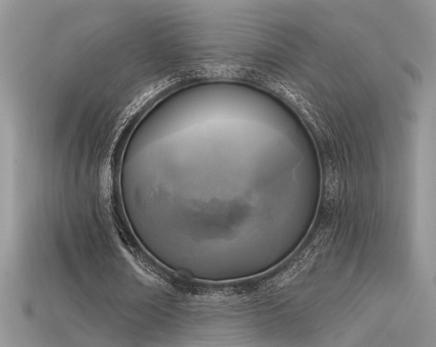 X0000115670674200911121153