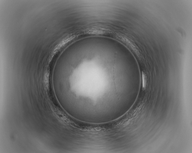 X0000115670675200911121153