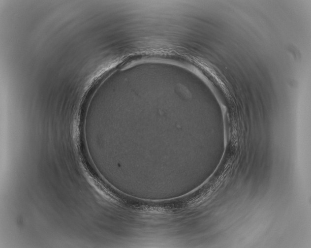 X0000115670677200911121153