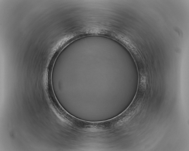 X0000115670678200911121153