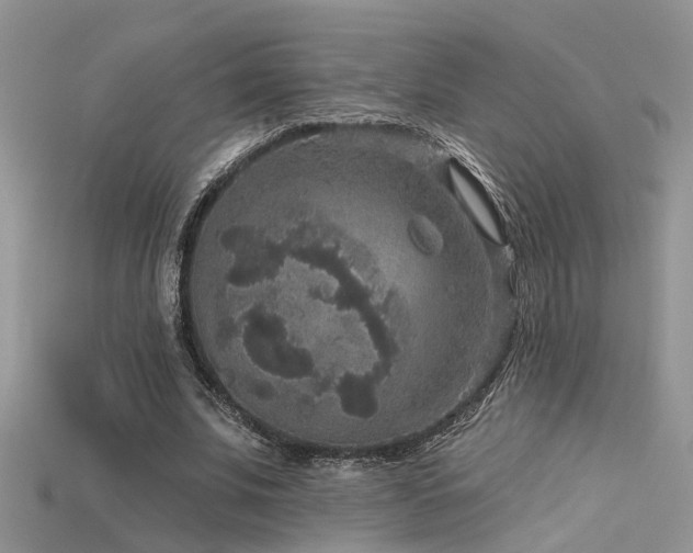 X0000115670679200911121153