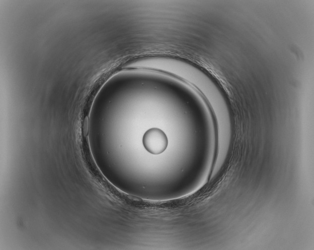 X0000115670681200911121153