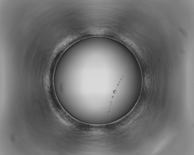 X0000115670682200911121153