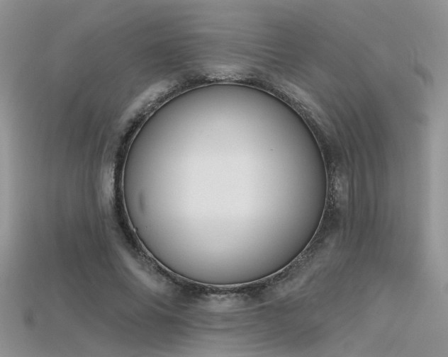 X0000115670686200911121153
