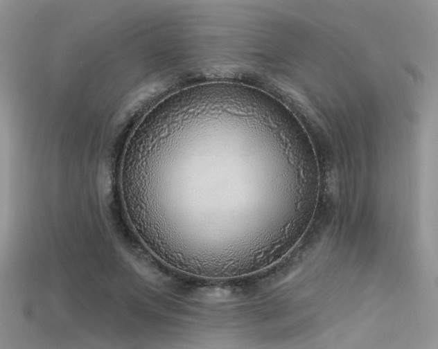 X0000115670687200911121153
