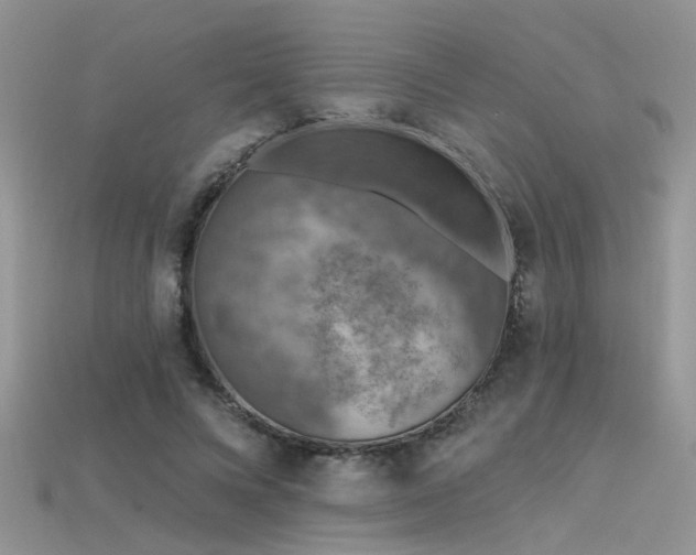 X0000115670688200911121153