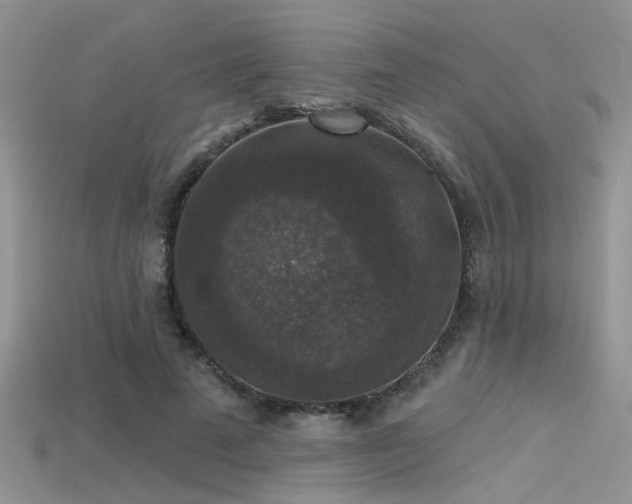 X0000115670689200911121153