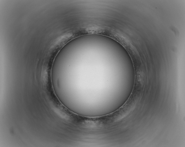 X0000115670690200911121153