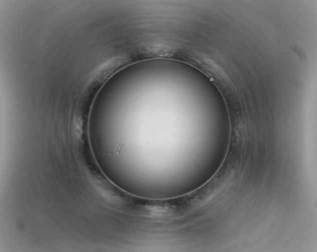 X0000115670693200911121153