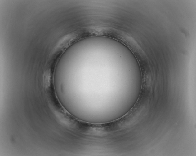 X0000115670694200911121153