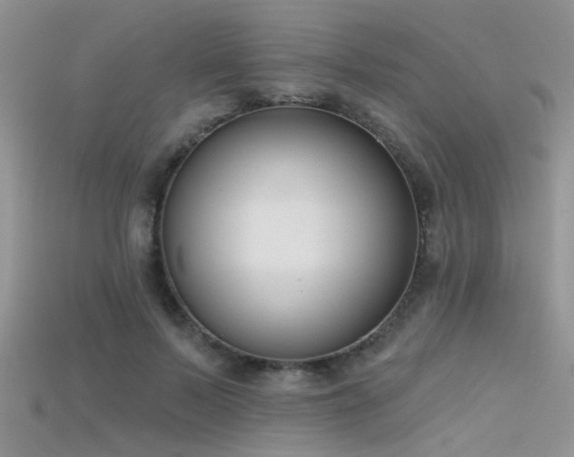 X0000115670695200911121153