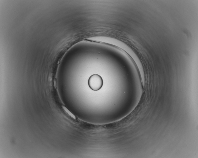X0000115670696200911121153