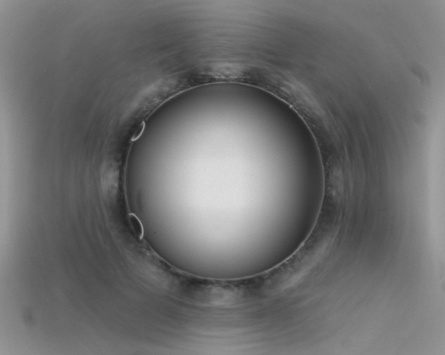 X0000115670697200911121153