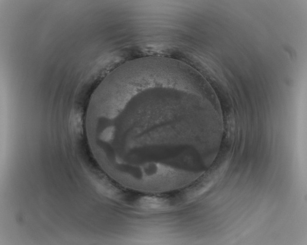 X0000115670699200911121153