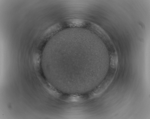 X0000115670701200911121153